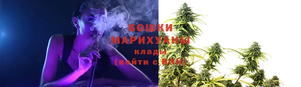 трава Костерёво